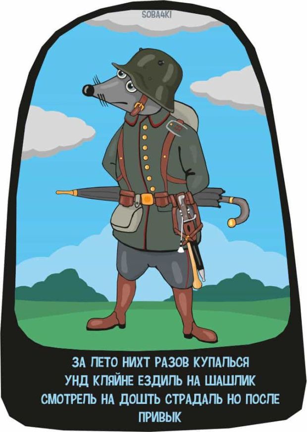 Забавные комиксы и стишки-пирожки о нашей жизни