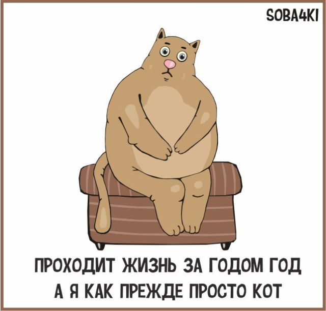 Забавные комиксы и стишки-пирожки о нашей жизни