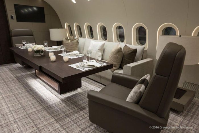 Boeing 787-8 Dreamliner компании Deer Jet - один из самых роскошных самолетов в мире