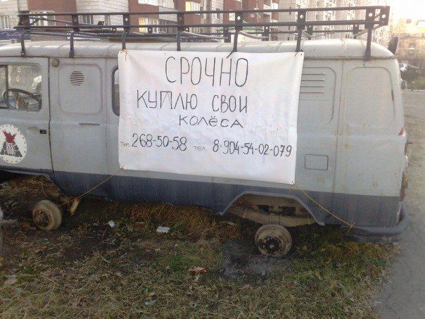 Прикольные картинки (53 фото)