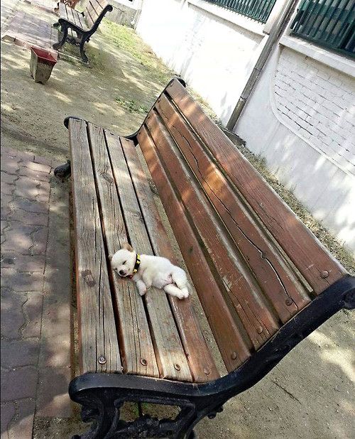 Прикольные картинки (53 фото)