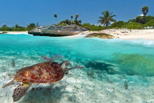 Истории выживших в море (10 фото) Истории выживших в море (10 фото)