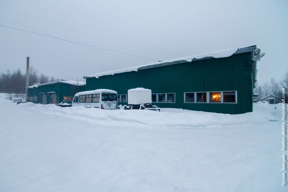 Как выращивают семгу Как выращивают семгу