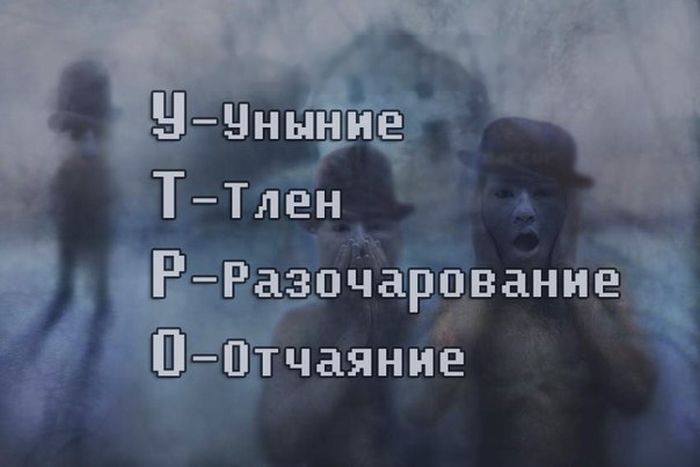 Порция картинок