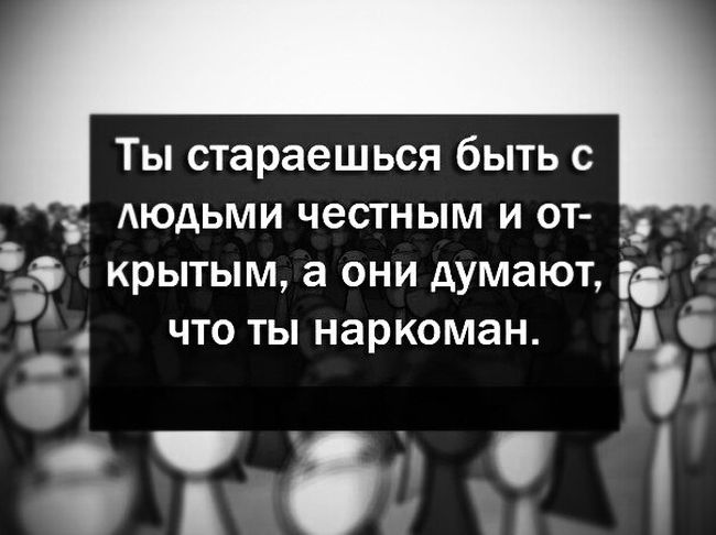 Порция картинок