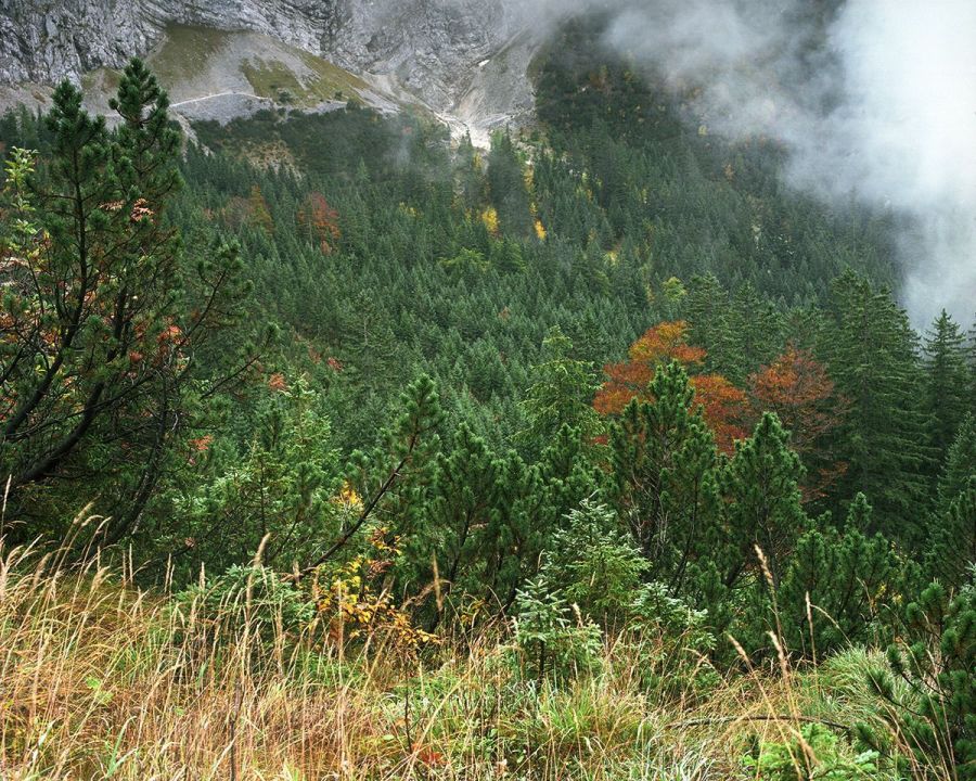 Найди снайпера (20 фото) Найди снайпера (20 фото)