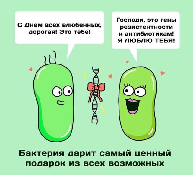 Приколы в День Святого Валентина