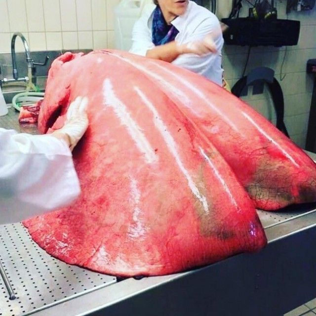 Остается только удивляться! Остается только удивляться!