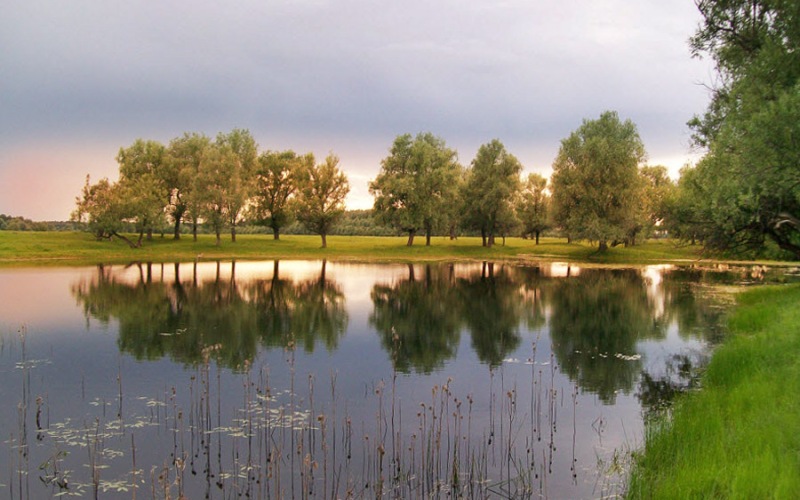 Аномальная Россия Аномальная Россия