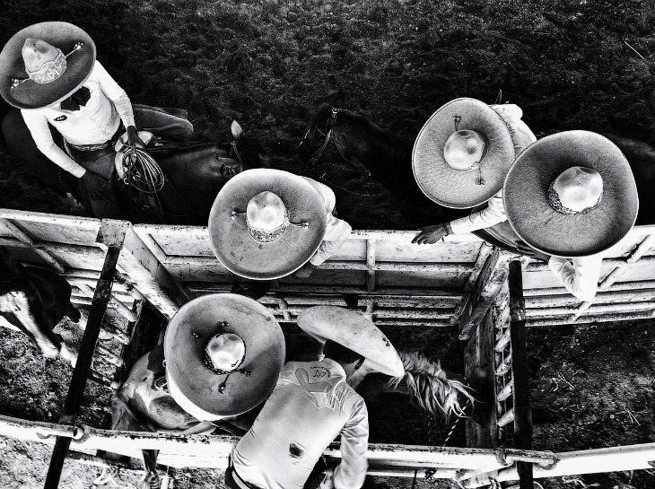 11-й Международный конкурс фотографии от журнала Smithsonian 11-й Международный конкурс фотографии от журнала Smithsonian