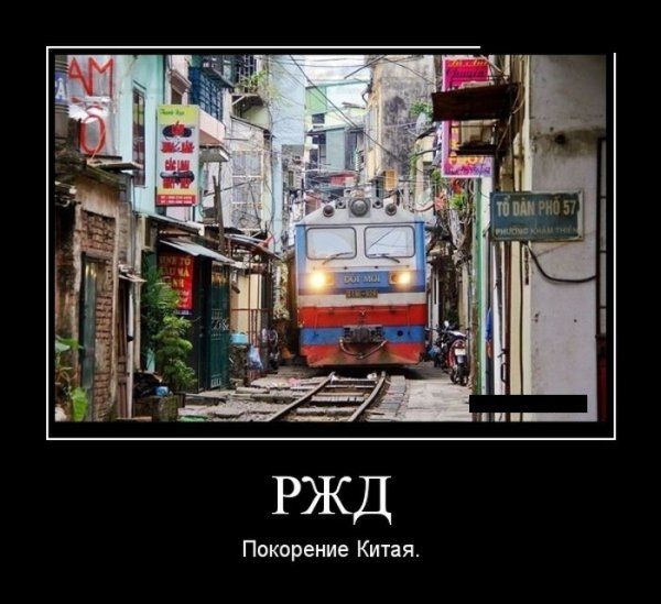 Демотиваторы (56 фото)
