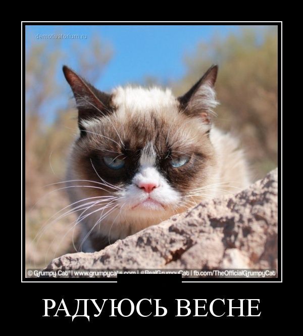 Демотиваторы (56 фото)