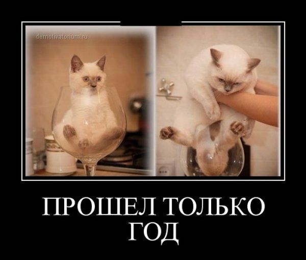 Демотиваторы (56 фото)