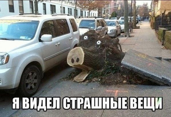 Прикольные картинки  (114 фото)