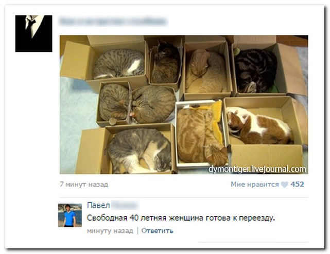 Смешные комментарии из социальных сетей