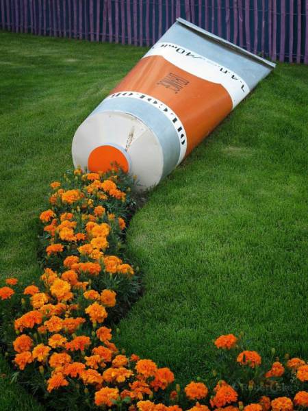 Природа в уличном искусстве
