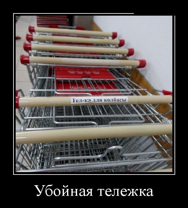 Демотиваторы