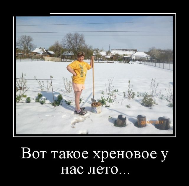 Демотиваторы