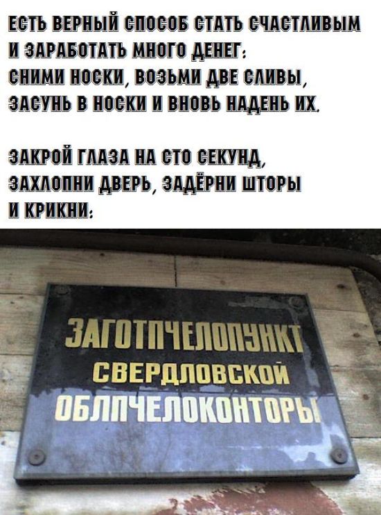 Прикольные картинки