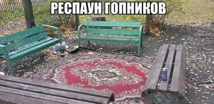Смешные фото с коврами