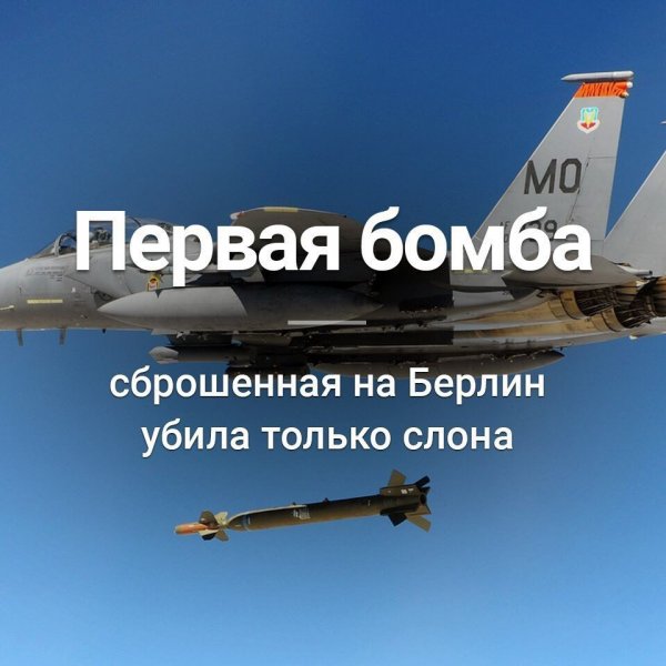 Интересные факты
