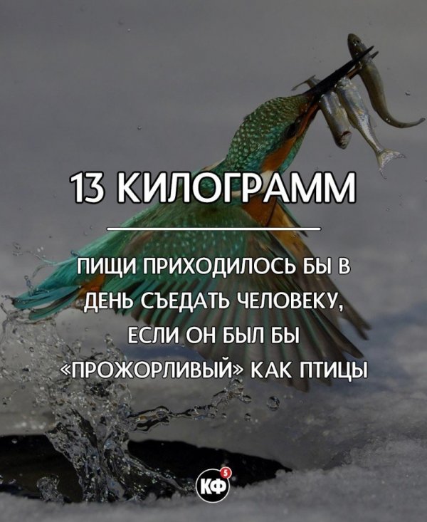 Интересные факты