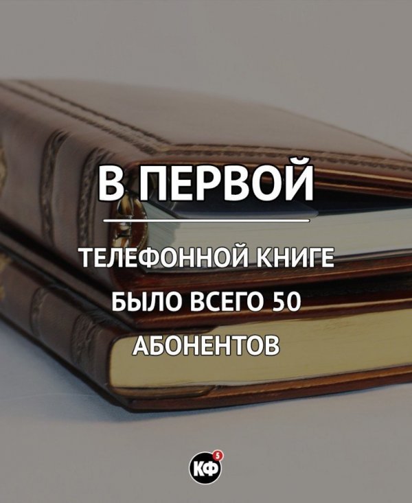 Интересные факты