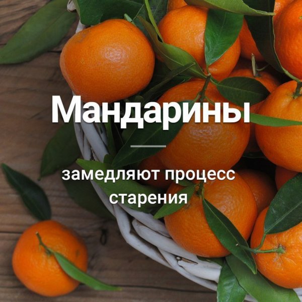 Интересные факты