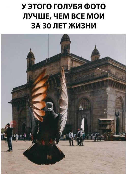 Прикольные картинки