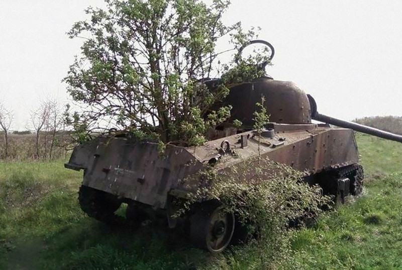 41 танк, захваченный природой