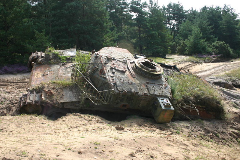 41 танк, захваченный природой