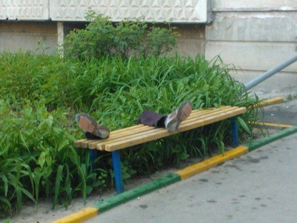 Улов из соцсетей
