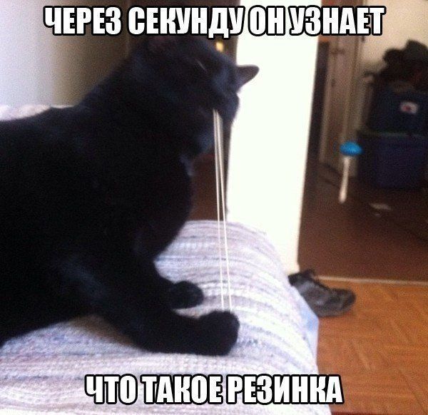 Порция картинок