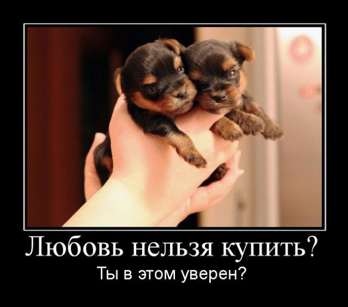 Демотиваторы