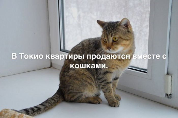 Интересные факты