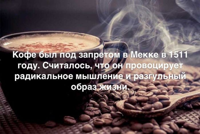 Интересные факты