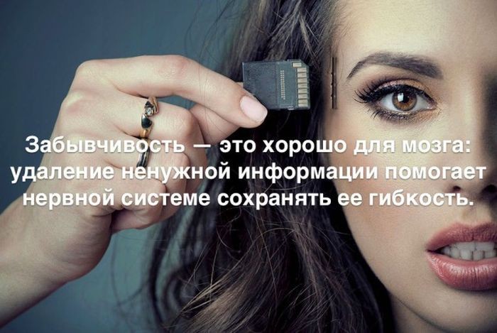 Интересные факты