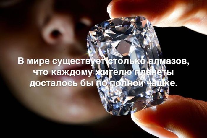 Интересные факты
