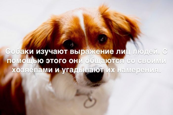 Интересные факты