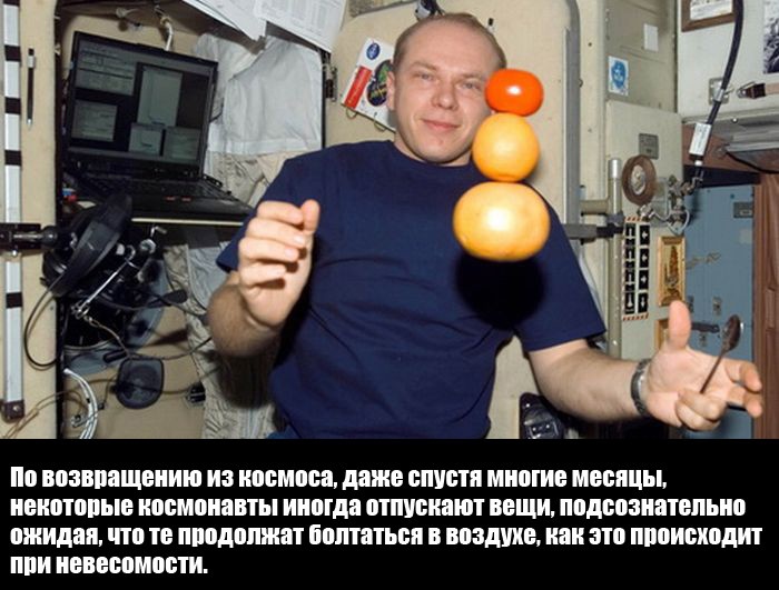 Интересные факты