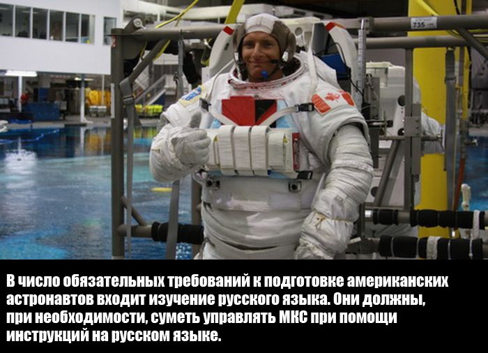 Интересные факты
