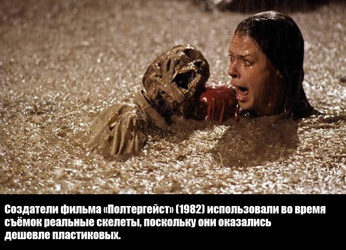 Интересные факты