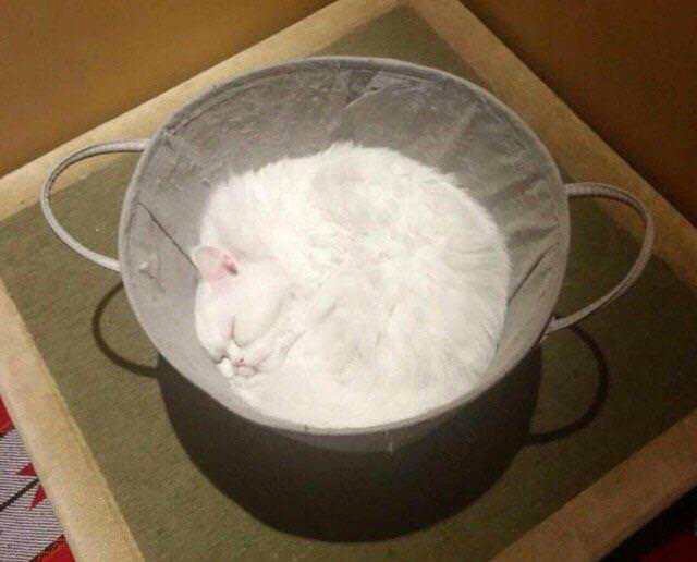 Предметы, которые очень похожи на еду, но их нельзя съесть Предметы, которые очень похожи на еду, но их нельзя съесть