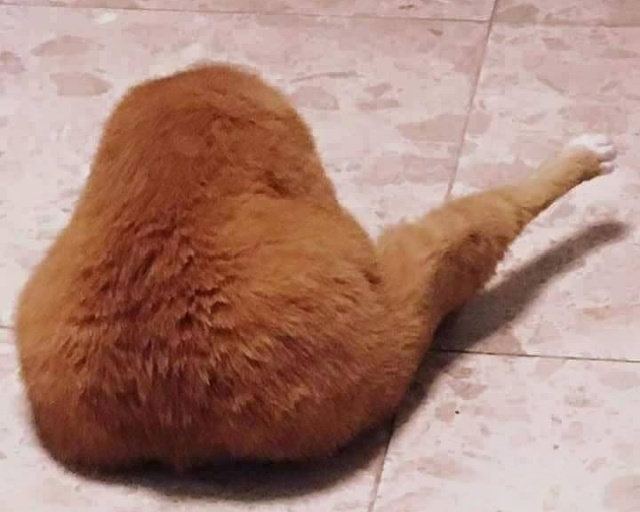 Предметы, которые очень похожи на еду, но их нельзя съесть Предметы, которые очень похожи на еду, но их нельзя съесть