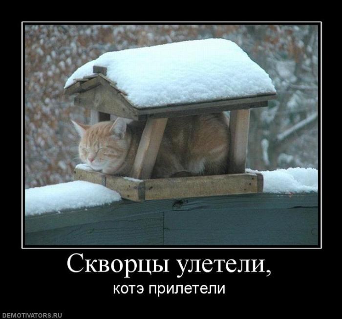 Демотиваторы (72 фото)