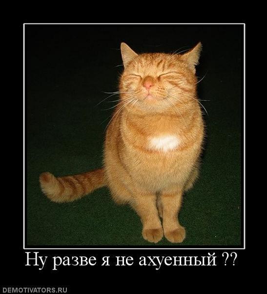 Демотиваторы (72 фото)