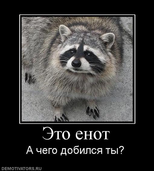 Демотиваторы (72 фото)