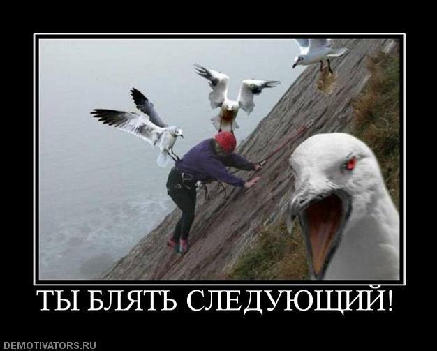 Демотиваторы (72 фото)