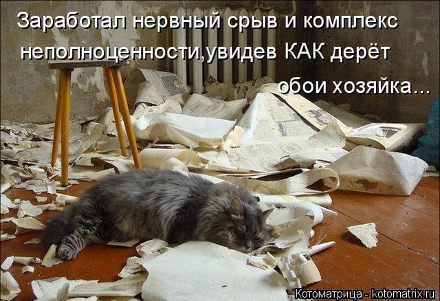 Лучшие котоматрицы недели