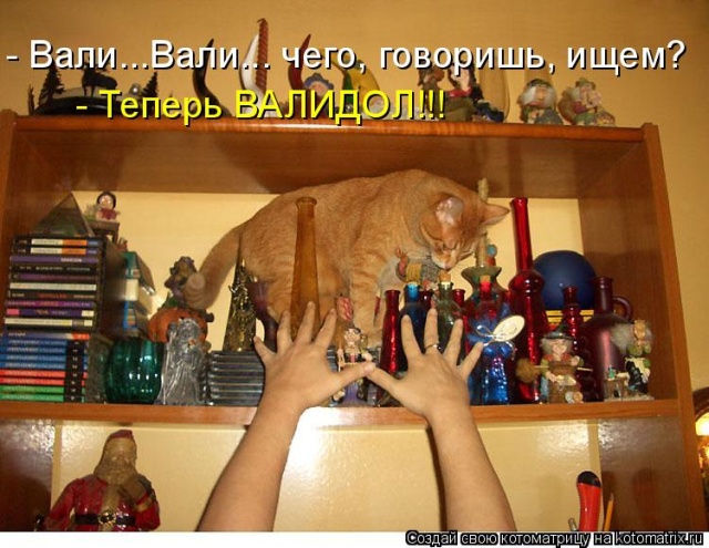 Лучшие котоматрицы недели